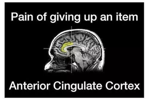 手被紙割傷為啥辣么疼？多年疑問(wèn)終于解開(kāi)