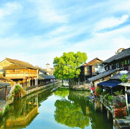 “推動(dòng)世界各國(guó)共同搭乘互聯(lián)網(wǎng)和數(shù)字經(jīng)濟(jì)發(fā)展的快車”